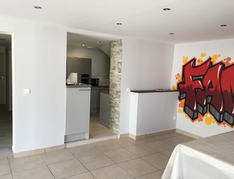 casas peinture, artisan plaquiste peintre entre Montpellier et Nîmes